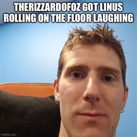 Fyi This Is Not A Therizzardofoz Is Good Meme Imgflip