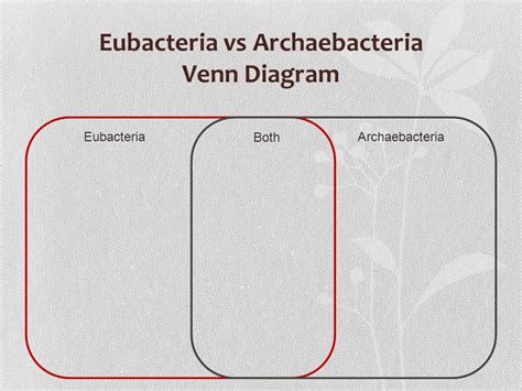 Archaebacteria Vs Eubacteria Venn Diagram