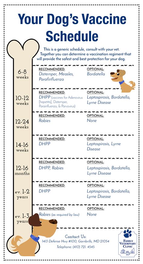 Dog Vaccine Schedule Printable - Holiday Printable Activities