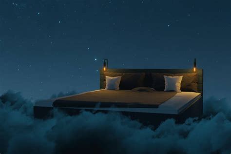 820 Bed Birds Eye View Stock Photos Pictures And Royalty Free Images
