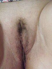 Belles Chattes ZB Porn