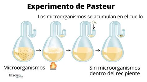 Generación espontánea historia propuestas experimentos