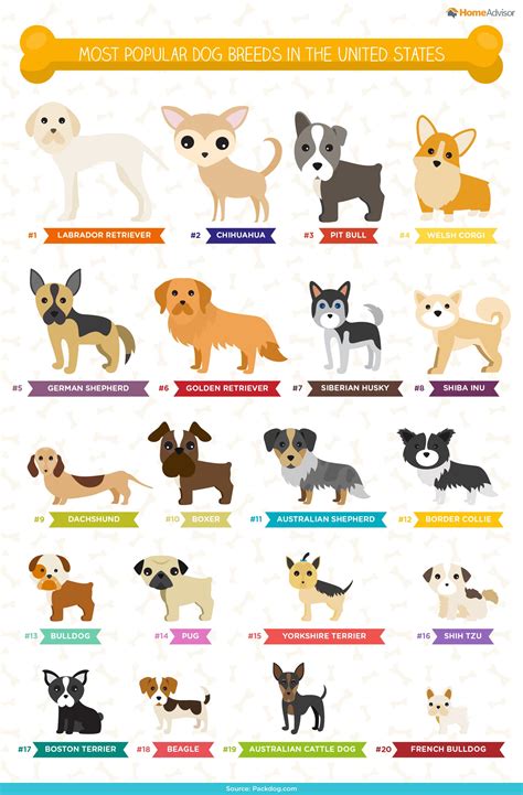 List Of Dog Breeds With Images at Janita Huang blog