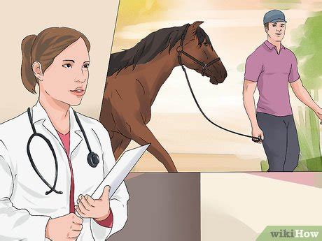how to treat colic in horses at home naturally