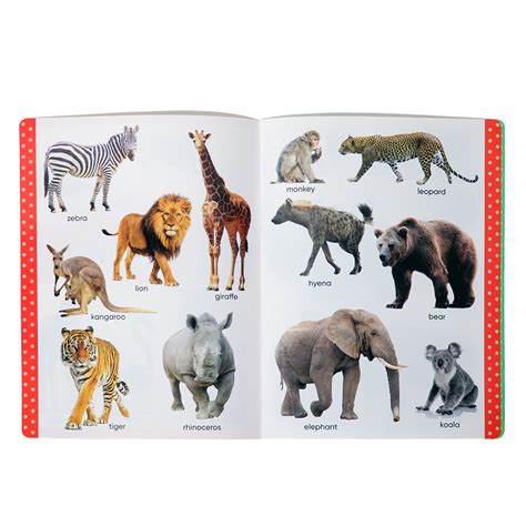 wild animal book for kids 8
