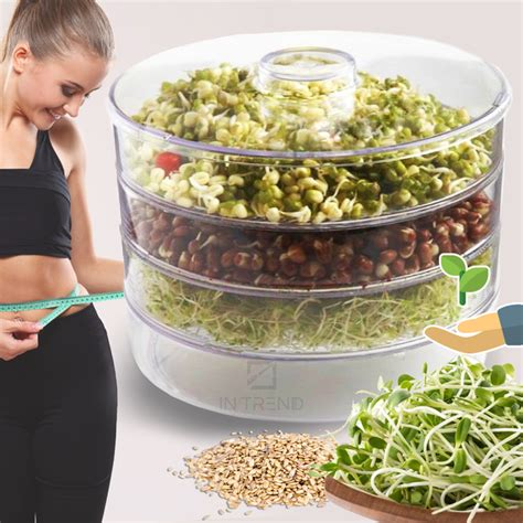 Проращиватель семян SZ BIO Natura Прозрачный спроутер - емкость для ...