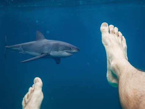 Naked And Afraid Of Sharks Apple TV