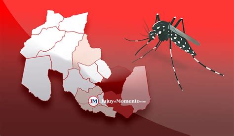 Mapa Del Dengue San Pedro Y Perico Concentran La Mitad De Los Casos