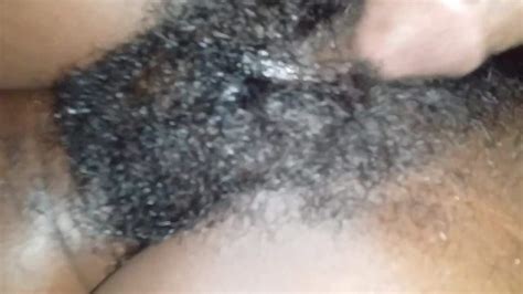 Free Hairy Pussy Porn Videos 803 XHamster