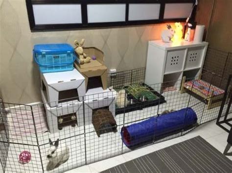 Playpen Setup – Bunny Wonderland