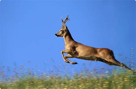 Джон Китс. Одиночество (Татьяна Игнатова 5) / Стихи.ру