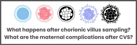 chorionic villus sampling  uterine infection lppynu