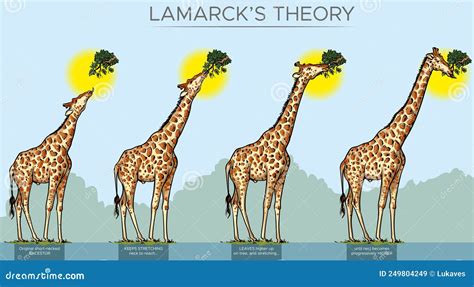 giraffe evolution stock vector illustration  life