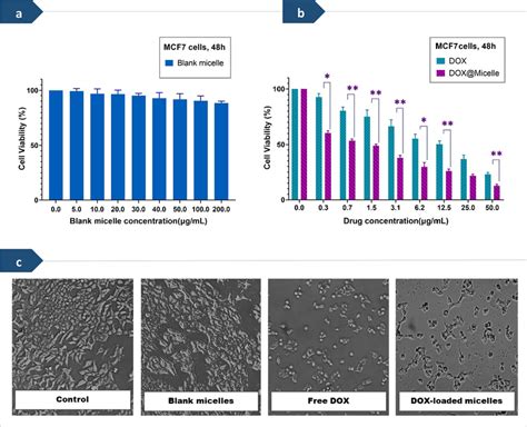 A Cell Viability Of MCF 7 Cells After Treatment With Different