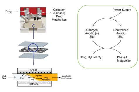 Electrochemistry Made Easy With Continuous Flow Chemistry Techniques Syrris Chemistry Blog