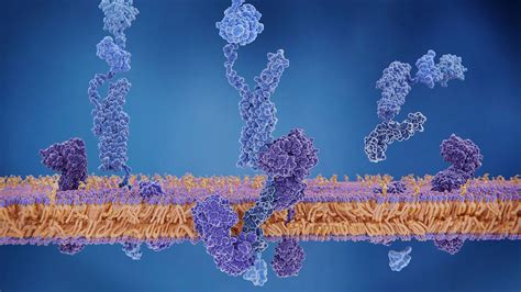 Moving beyond amyloid to treat Alzheimer's disease