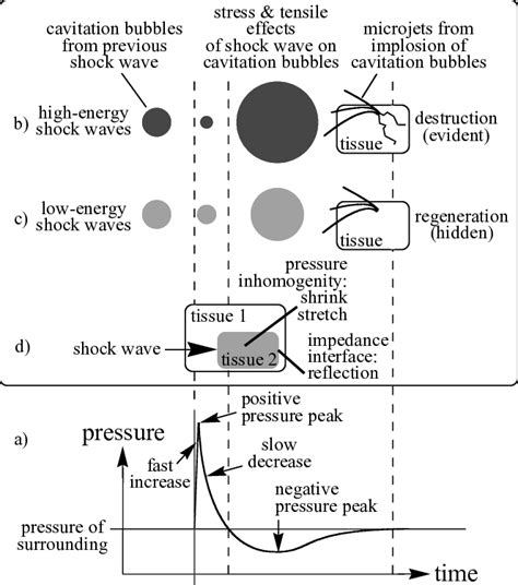 Shock-wave: its physics and main biological effects. a) A shock wave is ...