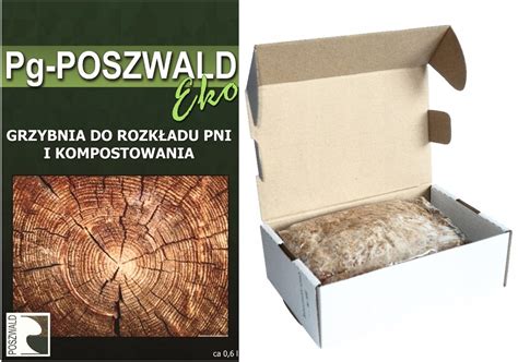 Grzybnia Poszwald Eko Do Rozk Adu Pni Drzew Okazja