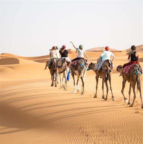 10 Best Morocco Small Group Tours And Trips 20242025 Tourradar