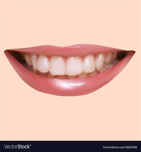 Beautiful Smiling Royalty Free Vector Image Vectorstock