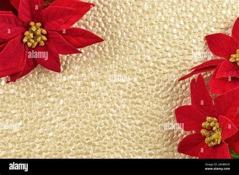 Plenty Of Copy Space On A Gold Textured Background Surrounded By Jolly