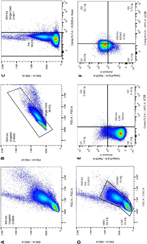 Flow Cytometry Gating Strategy Total Acquired Mononuclear Cells Mnc