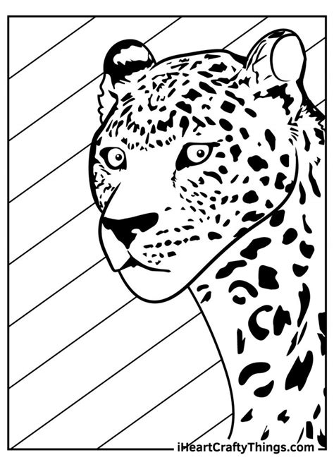 19 Leopards Coloring Pages 100 Free Printables