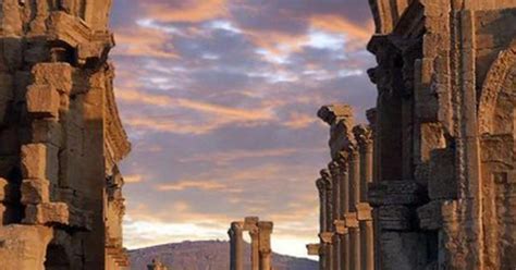 Ammán Jerash y Ajloun Jordania Excursión de un día con almuerzo