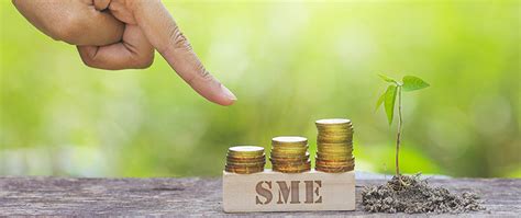 Top Reasons Why Successful Businessmen Go Behind SME Business Loans