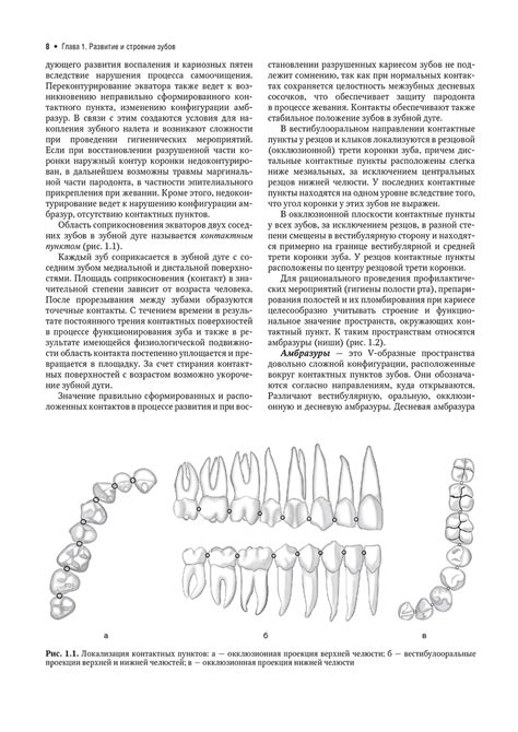 Книга "Терапевтическая стоматология. Болезни зубов: учебник: в 3 ч ...