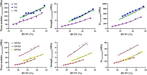 Frontiers Studying Trabecular Bone Samples Demonstrates A Power Law