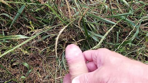 Jerking Off In The Field Gay Amateur Amateur Porn Feat Daniel Cage XHamster