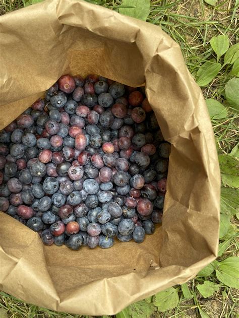 8 Immunity-Boosting Healthy Eating Habits to Strengthen Your Defenses ...