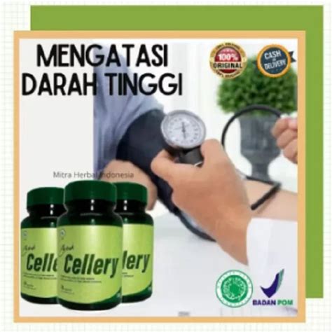 Jual Terlaris Obat Darah Tinggi Dan Kolesterol Ampuh Permanen Obat