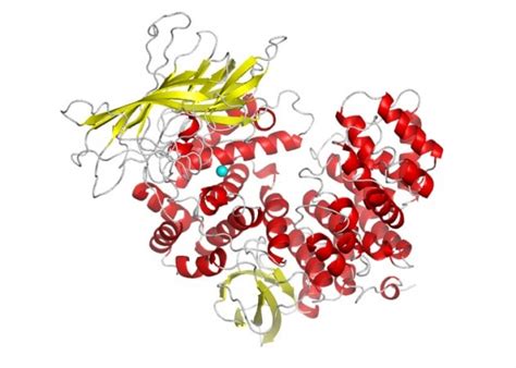 Τι είναι το PSA ; Υπάρχουν φυσιολογικές τιμές ; - MyDoctors