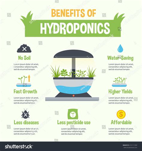 Hydroponics Benefits Infographic Hydroponic Gardening Illustration