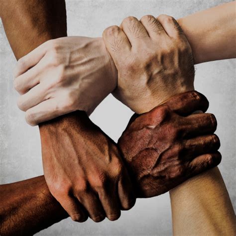 The Framework | The New Long Life