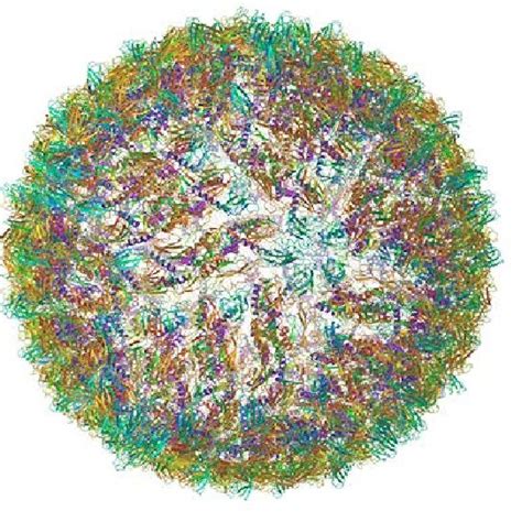 Cryo Em Estructura Del Virus Del Zika Zikv Download Scientific Diagram