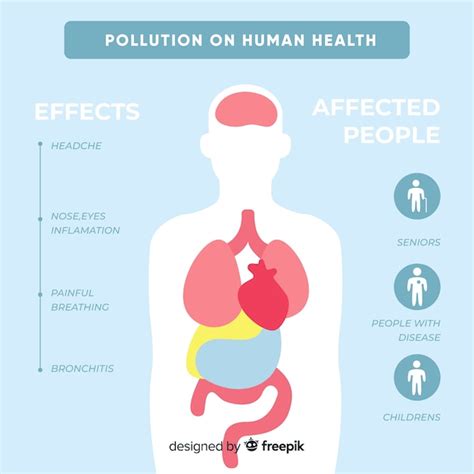 Free Vector Pollution On Human Body Infographic