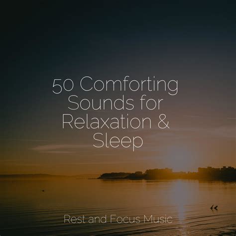 50 Comforting Sounds For Relaxation And Sleep Album By Spa Zen Spotify