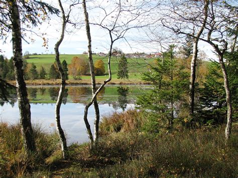 Notzenweiher Runde Gps Wanderatlas