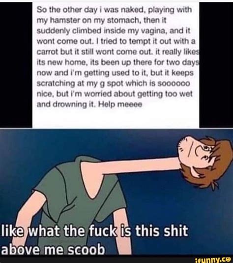 So The Other Day I Was Naked Playing With My Hamster On My Stomach Then It Suddenly Climbed