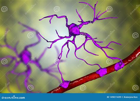 Astrocytes, Brain Glial Cells Royalty-Free Cartoon | CartoonDealer.com ...