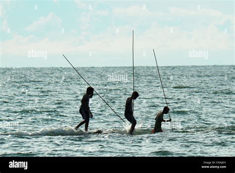 Spear Fishing Hi Res Stock Photography And Images Alamy