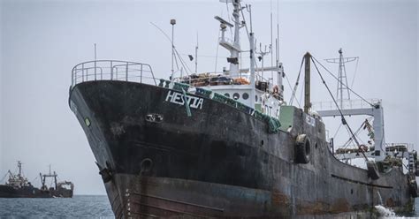 environmental justice foundation pair trawling frontline view