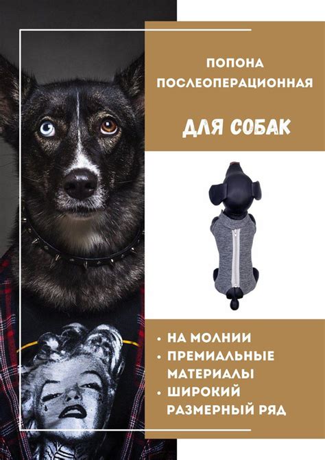 Попона для собаки послеоперационная 6 на молнии - купить с доставкой по ...