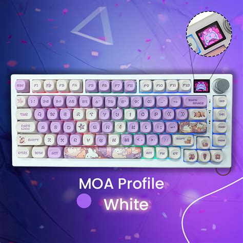 XJ80 Mechanical Keyboard With Display Screen 3 Mode 75 Layout Hot Swappable Wireless Bluetooth