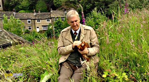 Cinema Paradiso DVD & Blu-ray Rental