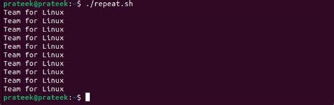 Bash Script Loops Examples The Linux Forum