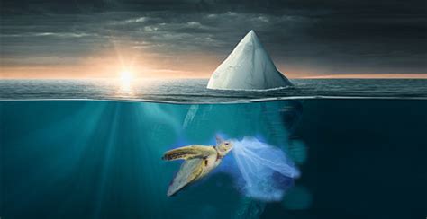 Plastic Bags Biodegrade Developed In Both Soil And Sea